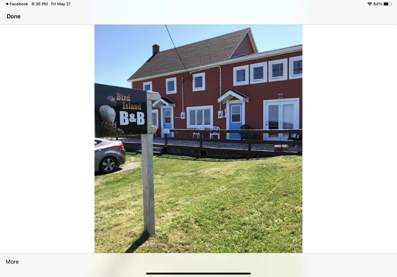 Bird Island B&B Bed And Bubble 엘리스턴 외부 사진